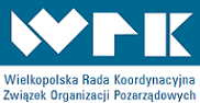 logo na niebieskim tle - Kopia